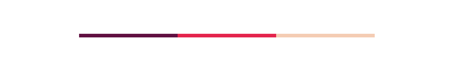 Red Divider.png